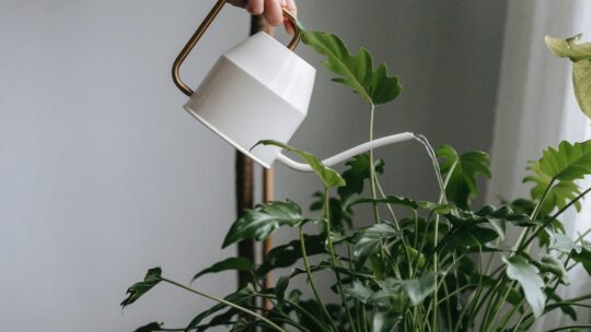 Les meilleurs soins pour une peau éclatante