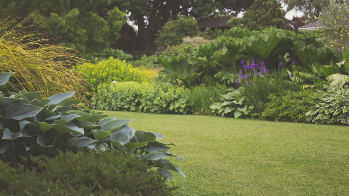 Un aménagement moderne pour son jardin