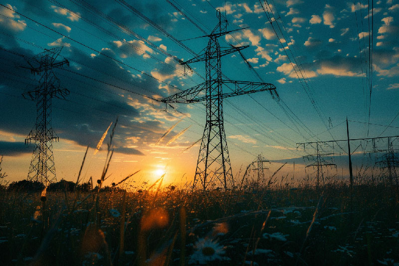 La bioluminescence peut-elle illuminer nos villes ? Un futur sans électricité est-il envisageable ?